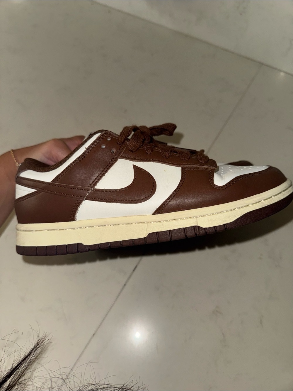 Nike Dunk Low Brown Sneakers